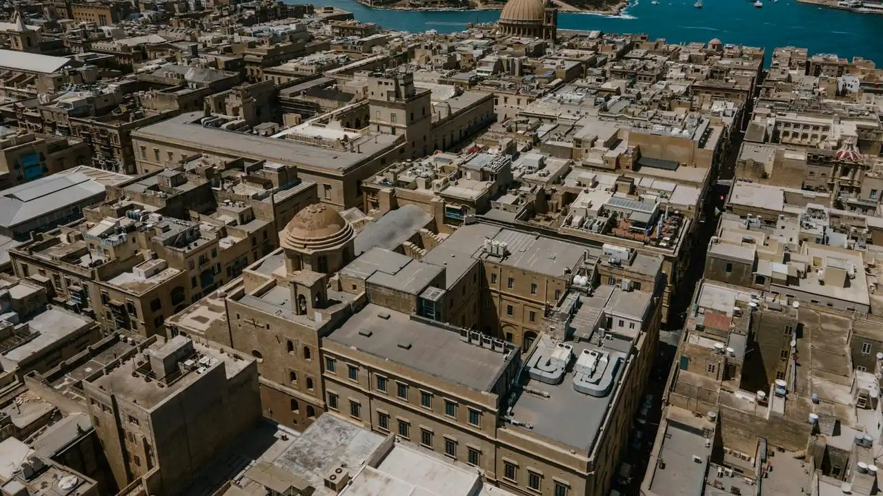 The Best Apps And Resources For Learning Maltese