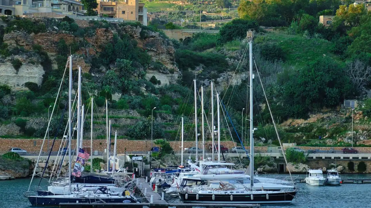 Common Mistakes Beginners Make When Learning Maltese
